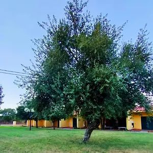 Nuraghe Ruiu & Сasa de vacaciones Norbello
